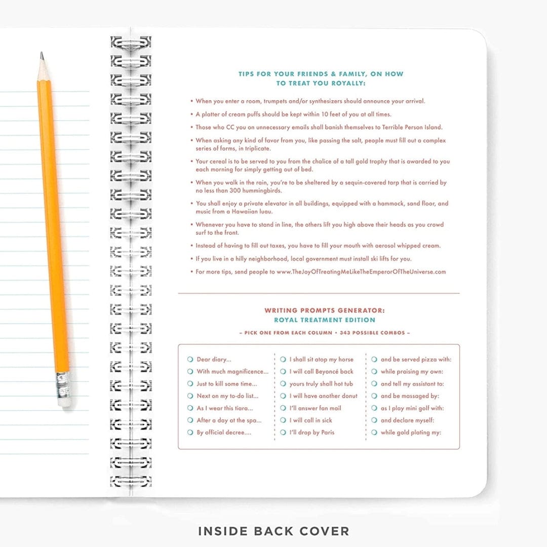 Snarky Gal Gifts NOTEBOOK | NOTES ABOUT MAINTAINING MY F*CKING SANITY