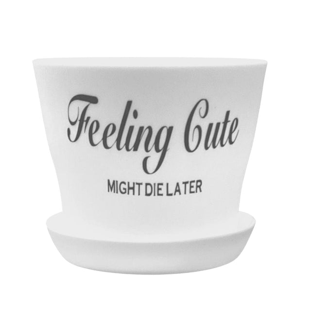 The Potted Oasis PLANT POT - FEELING CUTE MIGHT DIE LATER