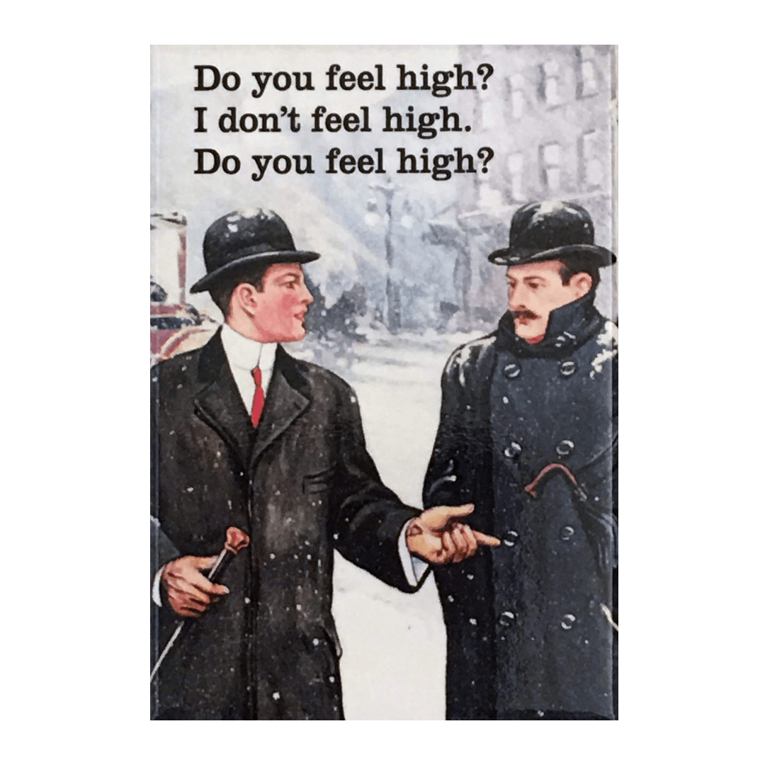 Ephemera Magnets MAGNET - DO YOU FEEL HIGH?