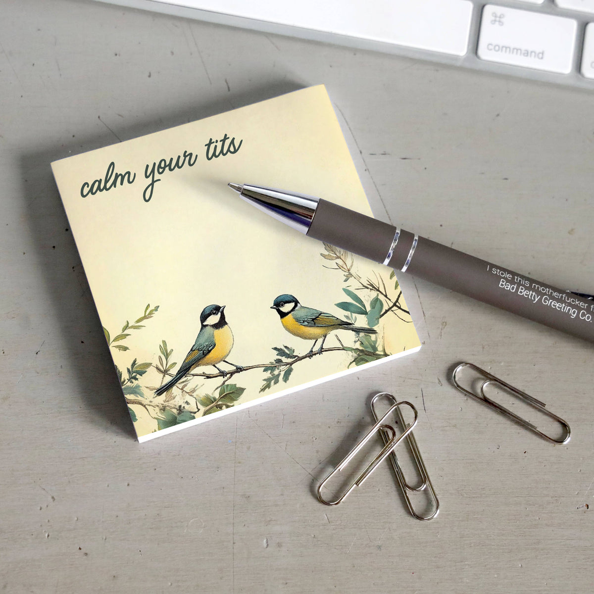 Bad Betty Greeting Co. Sticky Notes STICKY NOTES | CALM YOUR TITS