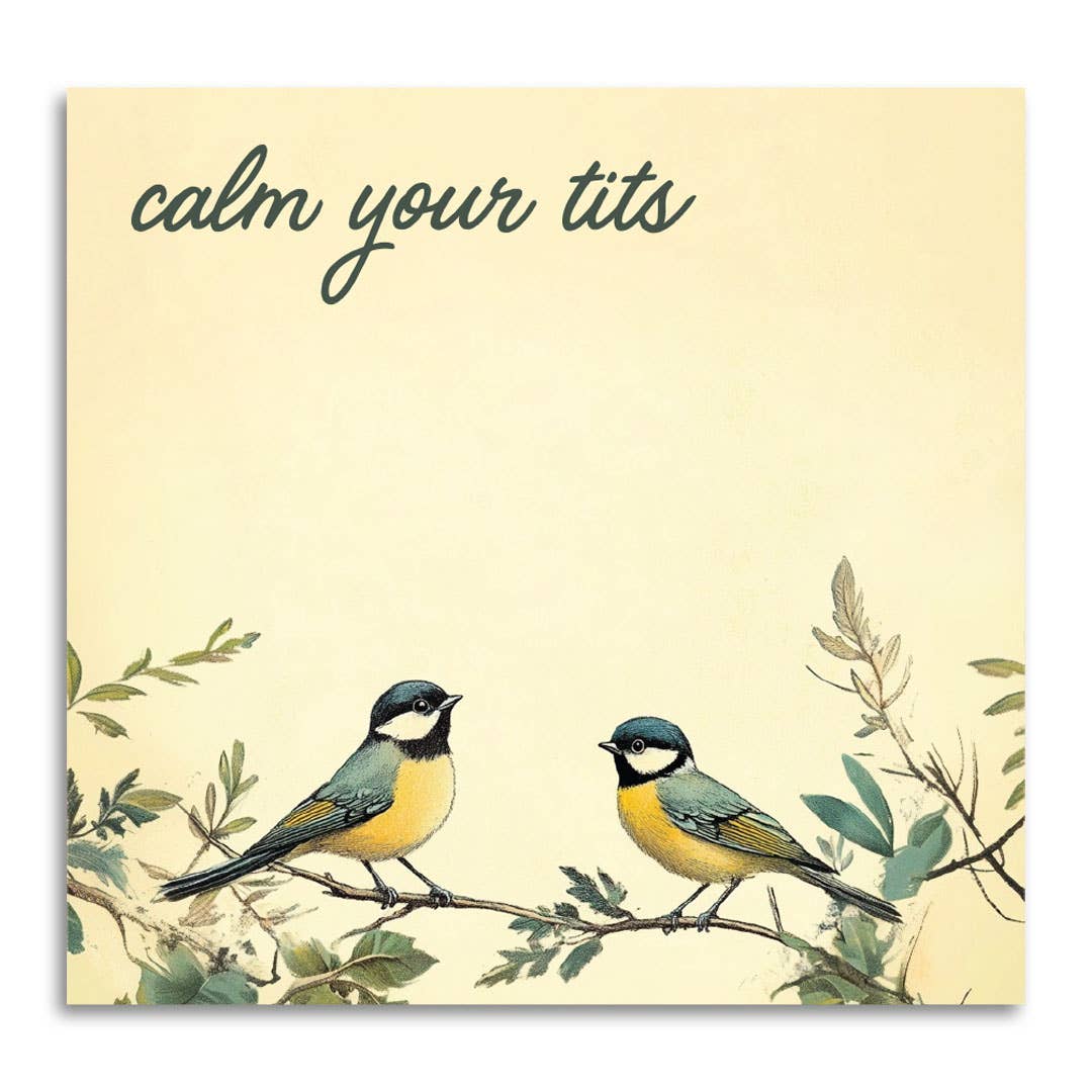 Bad Betty Greeting Co. Sticky Notes STICKY NOTES | CALM YOUR TITS