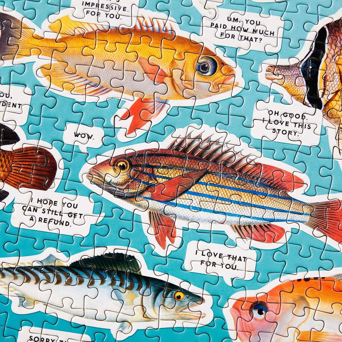 Chronicle Books Jigsaw Puzzles Brass Monkey Judgy Fish 1000 Piece Puzzle