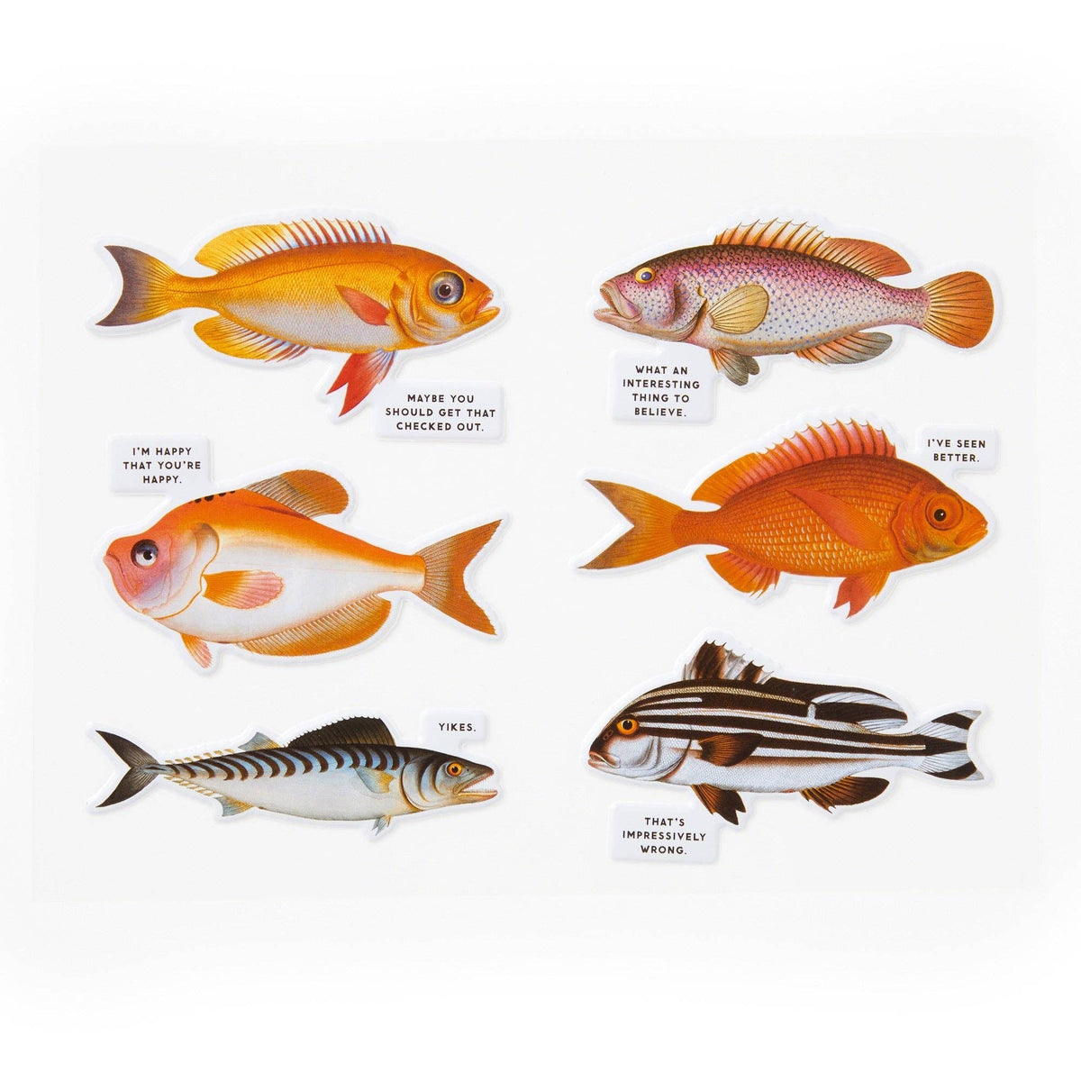 Chronicle Books Jigsaw Puzzles Brass Monkey Judgy Fish 1000 Piece Puzzle