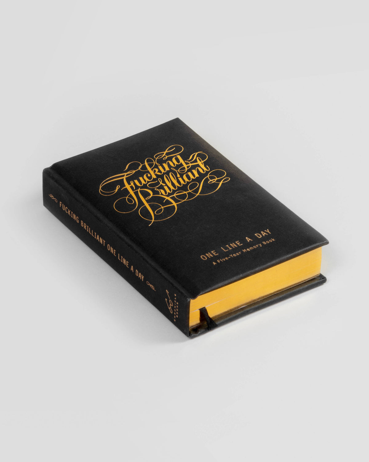 Chronicle Books Journals Fucking Brilliant One Line a Day