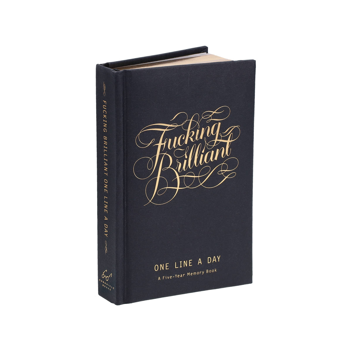 Chronicle Books Journals Fucking Brilliant One Line a Day