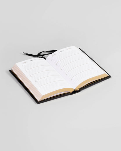Chronicle Books Journals Fucking Brilliant One Line a Day