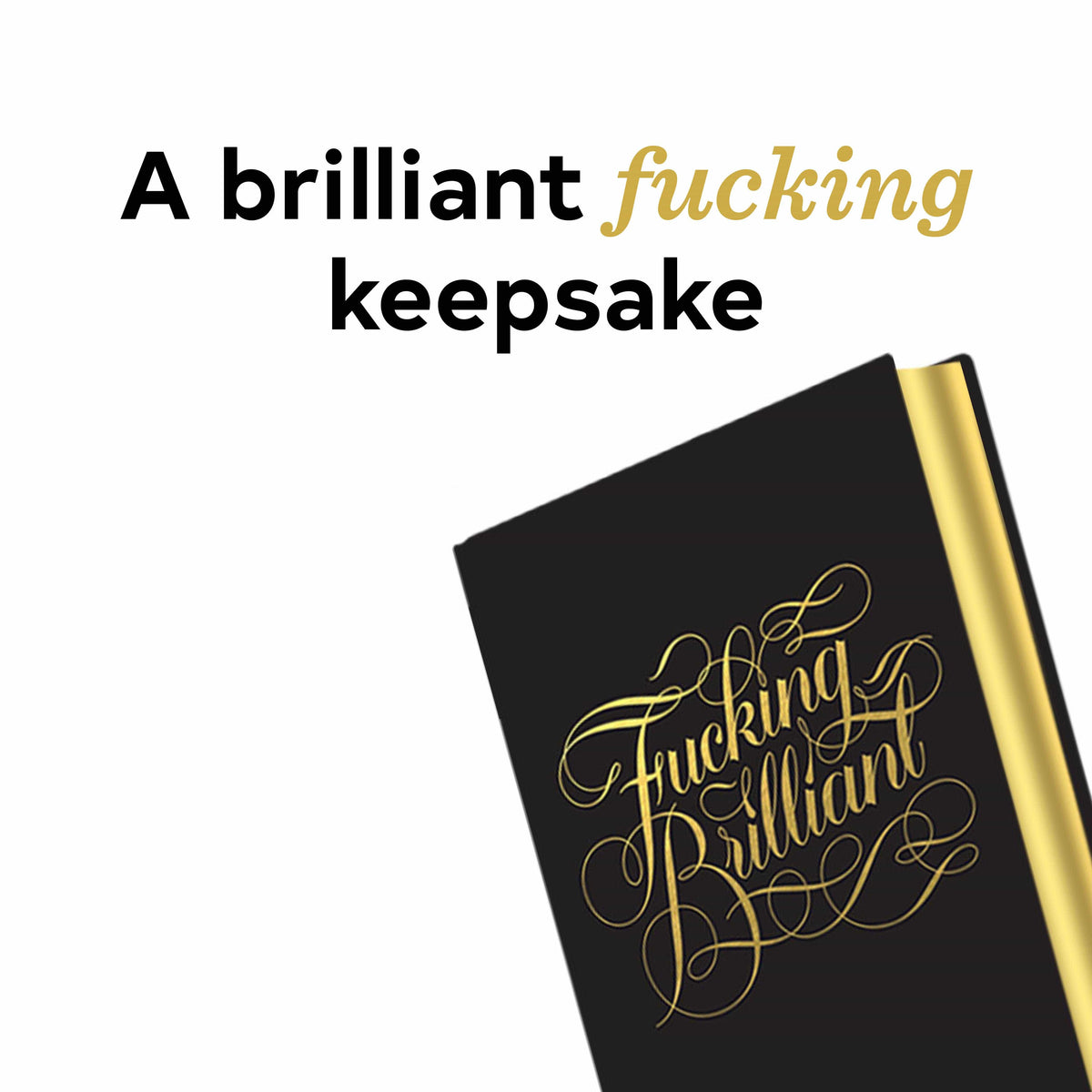 Chronicle Books Journals Fucking Brilliant One Line a Day