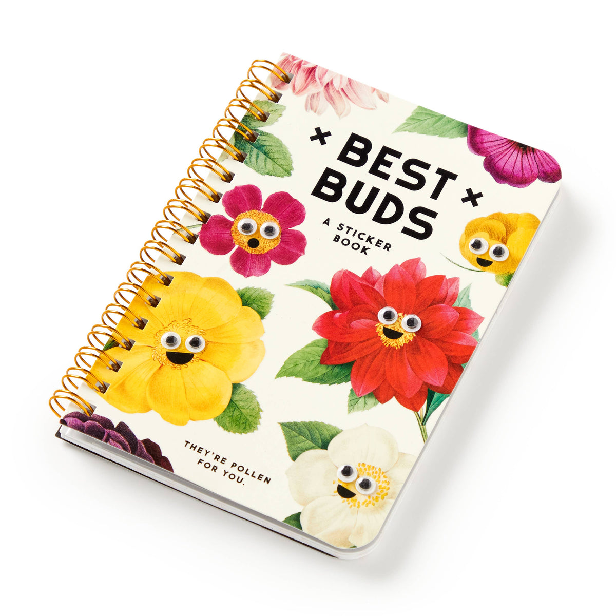 Chronicle Books Stickers Brass Monkey Best Buds Googly Sticker Book