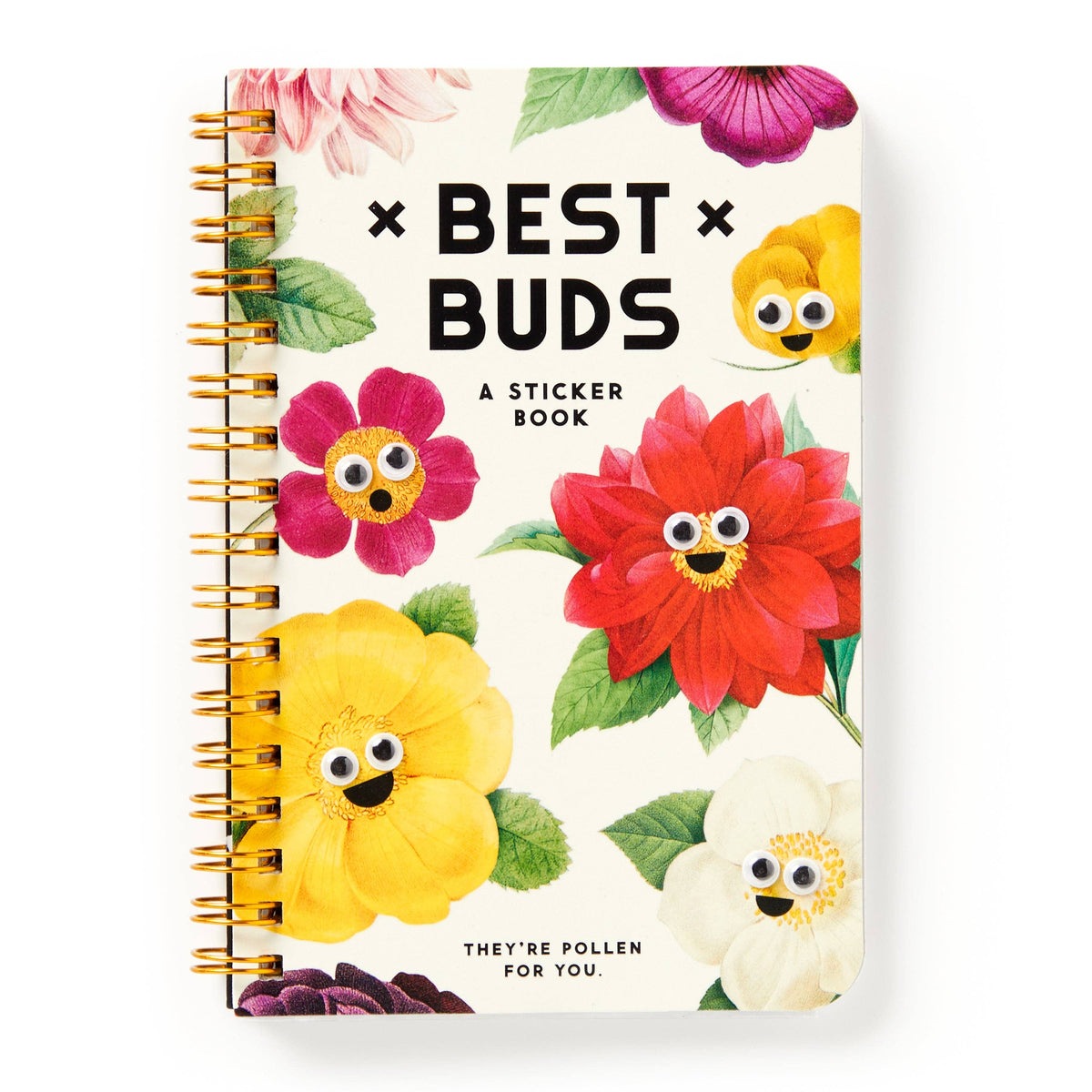 Chronicle Books Stickers Brass Monkey Best Buds Googly Sticker Book