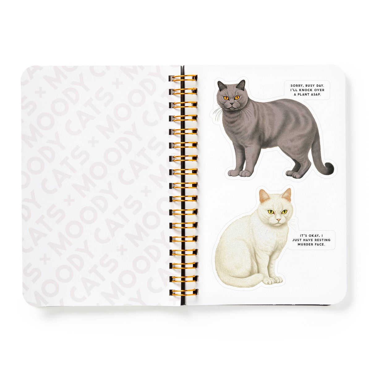 Chronicle Books Stickers Brass Monkey Moody Cats Sticker Book