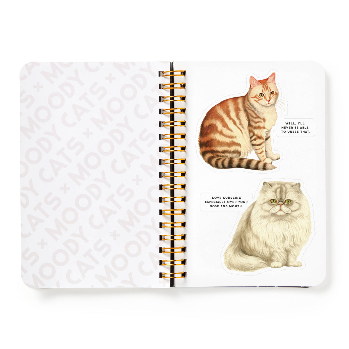 Chronicle Books Stickers Brass Monkey Moody Cats Sticker Book