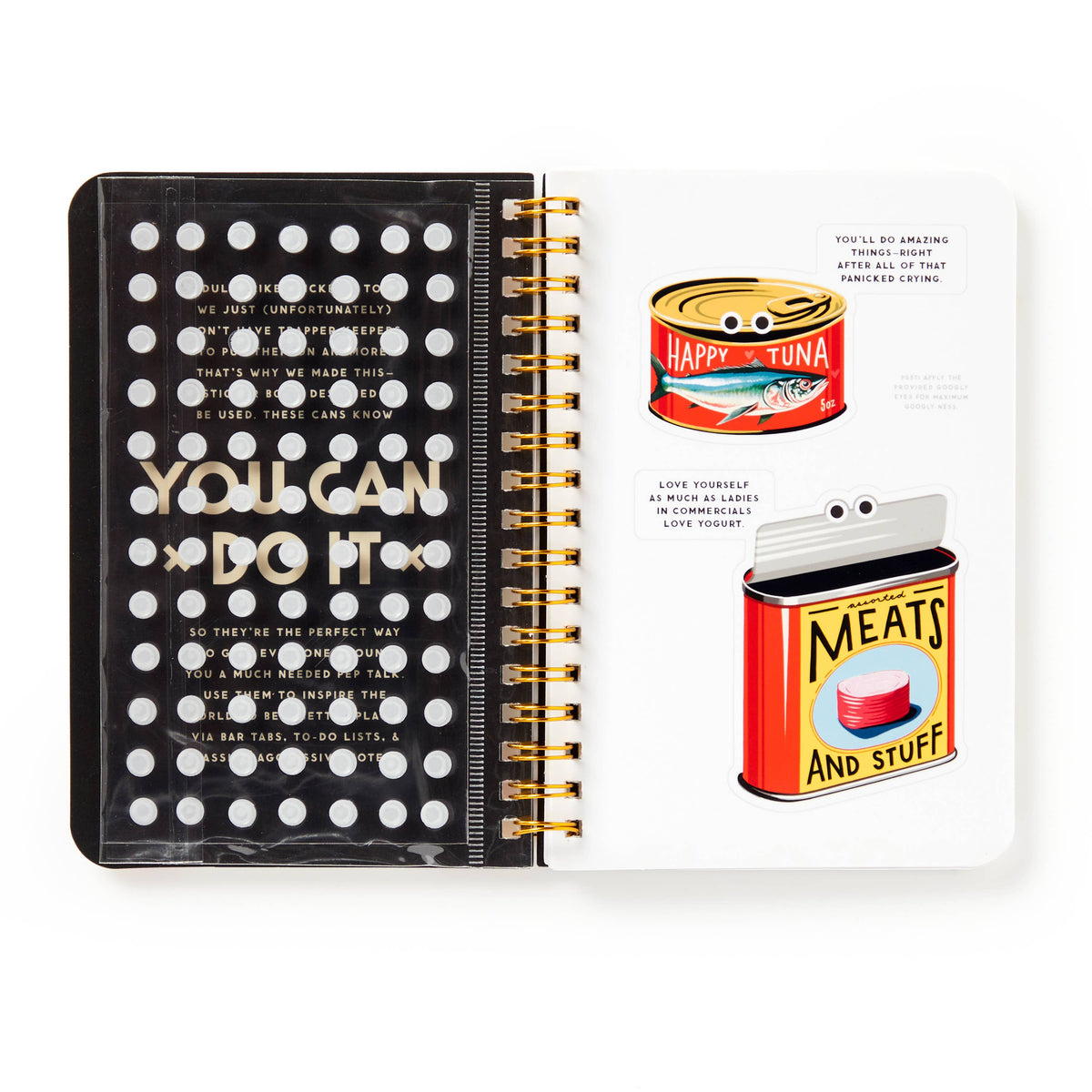 Chronicle Books Stickers Brass Monkey You Can Do It Googly Sticker Book